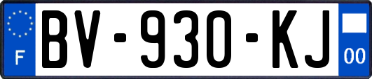 BV-930-KJ