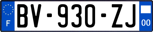 BV-930-ZJ