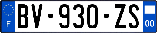 BV-930-ZS