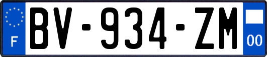 BV-934-ZM