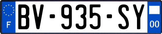 BV-935-SY