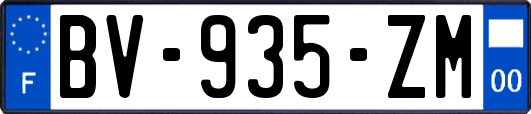 BV-935-ZM