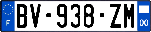 BV-938-ZM