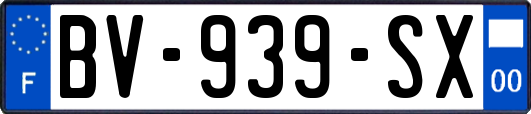 BV-939-SX