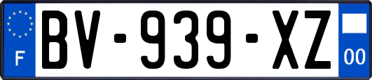 BV-939-XZ