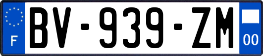 BV-939-ZM