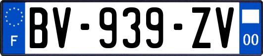 BV-939-ZV