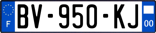 BV-950-KJ