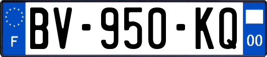 BV-950-KQ