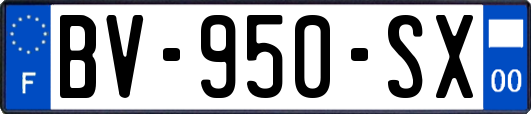 BV-950-SX