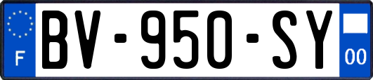 BV-950-SY