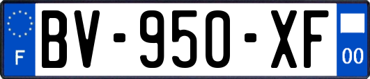BV-950-XF