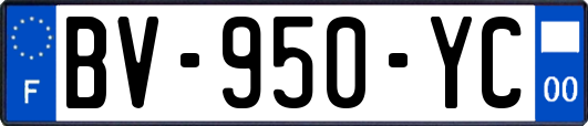 BV-950-YC