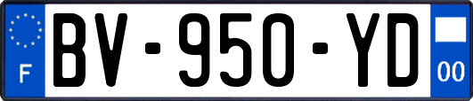 BV-950-YD