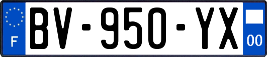 BV-950-YX