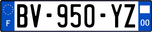 BV-950-YZ