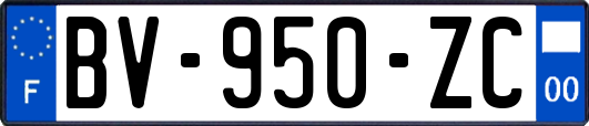 BV-950-ZC