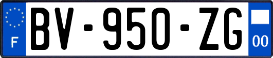 BV-950-ZG