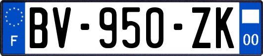 BV-950-ZK