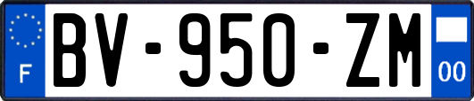 BV-950-ZM