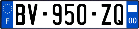 BV-950-ZQ