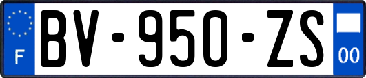 BV-950-ZS