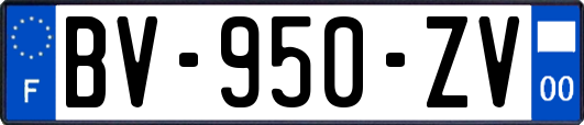 BV-950-ZV