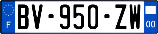 BV-950-ZW