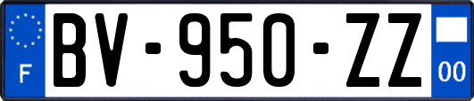 BV-950-ZZ