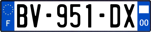 BV-951-DX