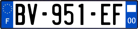 BV-951-EF