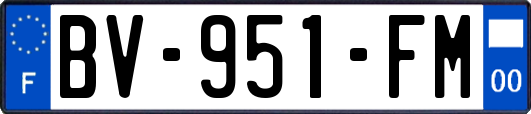 BV-951-FM