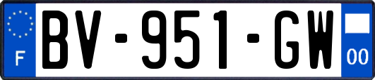 BV-951-GW