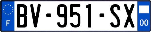 BV-951-SX