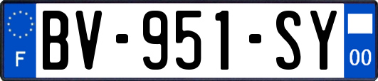 BV-951-SY