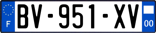 BV-951-XV