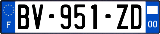 BV-951-ZD