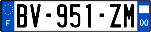 BV-951-ZM