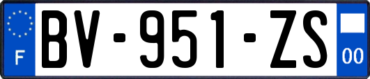 BV-951-ZS