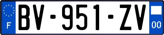 BV-951-ZV