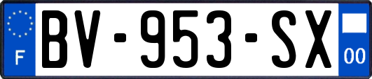 BV-953-SX