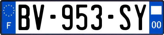 BV-953-SY