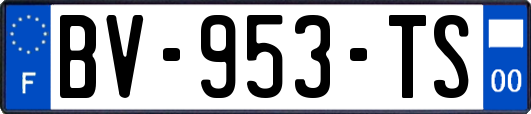 BV-953-TS