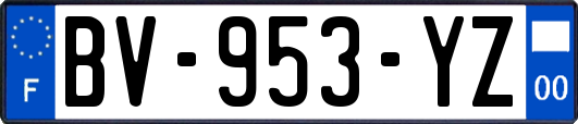 BV-953-YZ