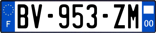 BV-953-ZM