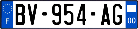 BV-954-AG