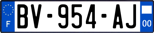 BV-954-AJ