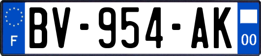 BV-954-AK