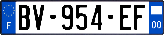 BV-954-EF