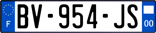 BV-954-JS